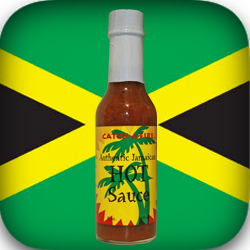 authentic jamaican hot sauce from catch a fire authentic jamaican gourmet